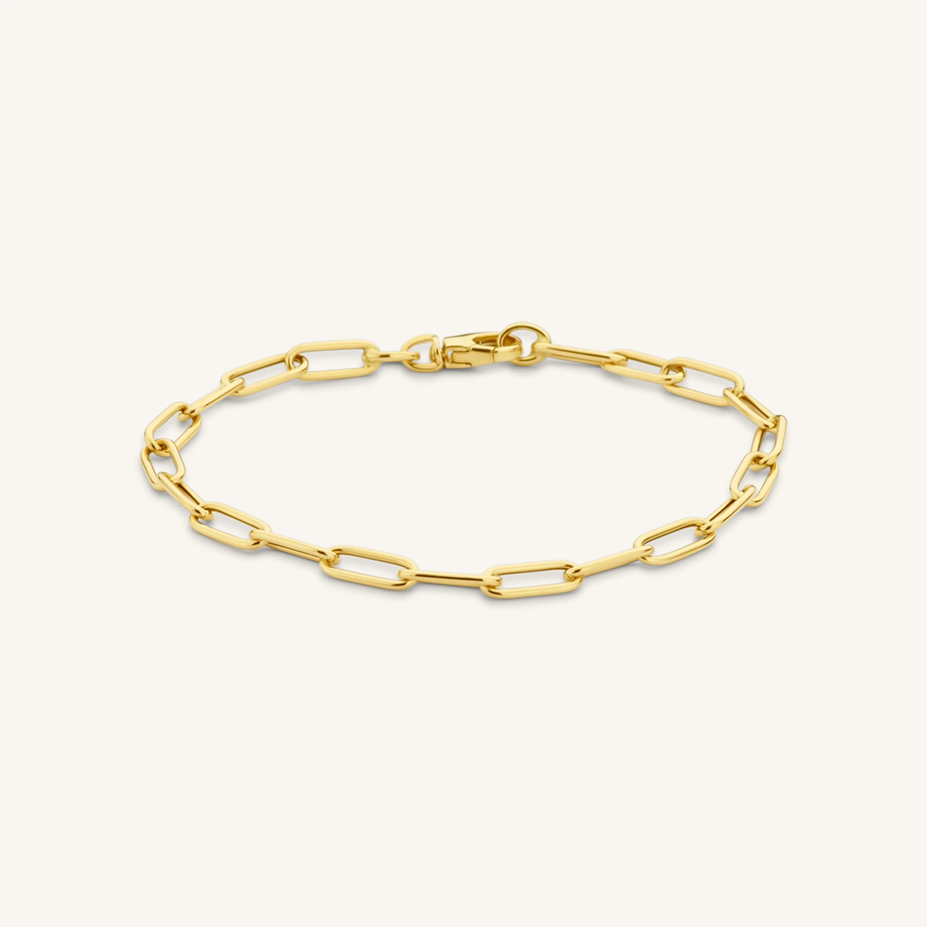 Paperclip Bracelet